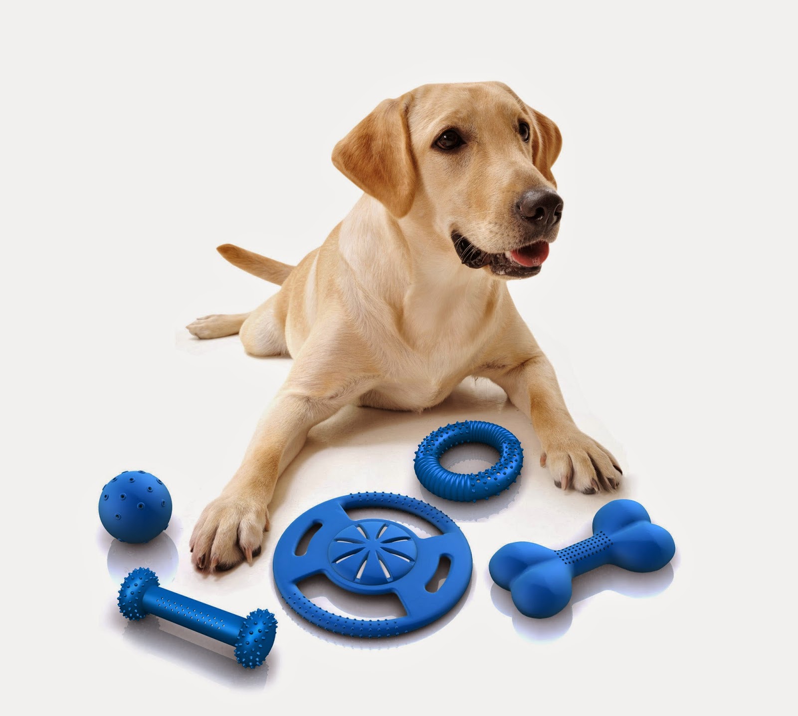 dog toys online