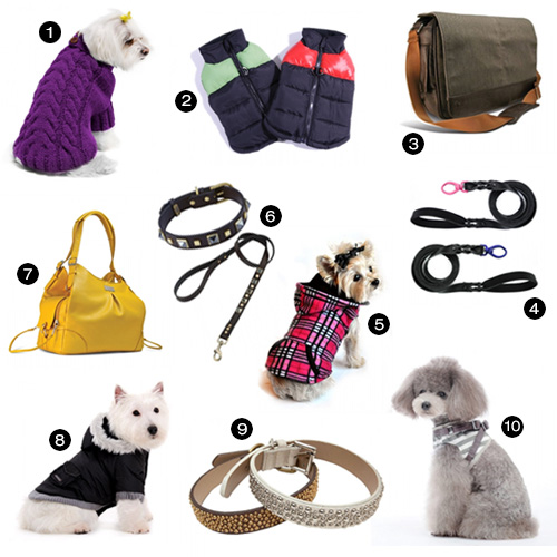 Dog Accessories That You Must Have in 